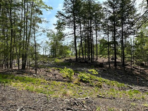 0A Old Turnpike Rd, Northwood, NH, 03261 | Card Image