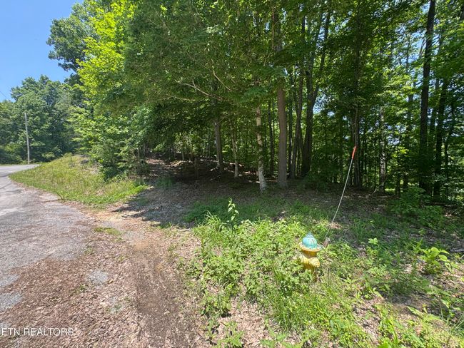 44 Ridgeland Dr, Home with 0 bedrooms, 0 bathrooms and null parking in Sharps Chapel TN | Image 10