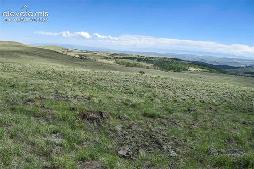 00 Bear Cat Road, Guffey, CO, 80820 | Card Image