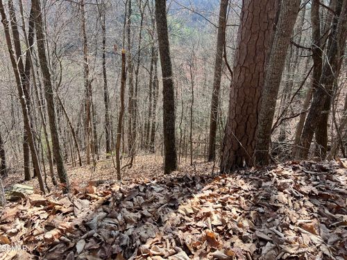 Lot 28 Laurel Lane, Sevierville, TN, 37876 | Card Image