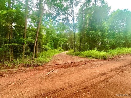 101 Tyson Ln, Greenville, AL, 36037 | Card Image