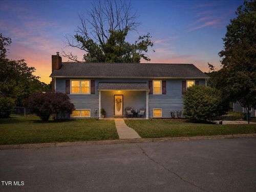 154 Carden Dr, Elizabethton, TN, 37643-3828 | Card Image