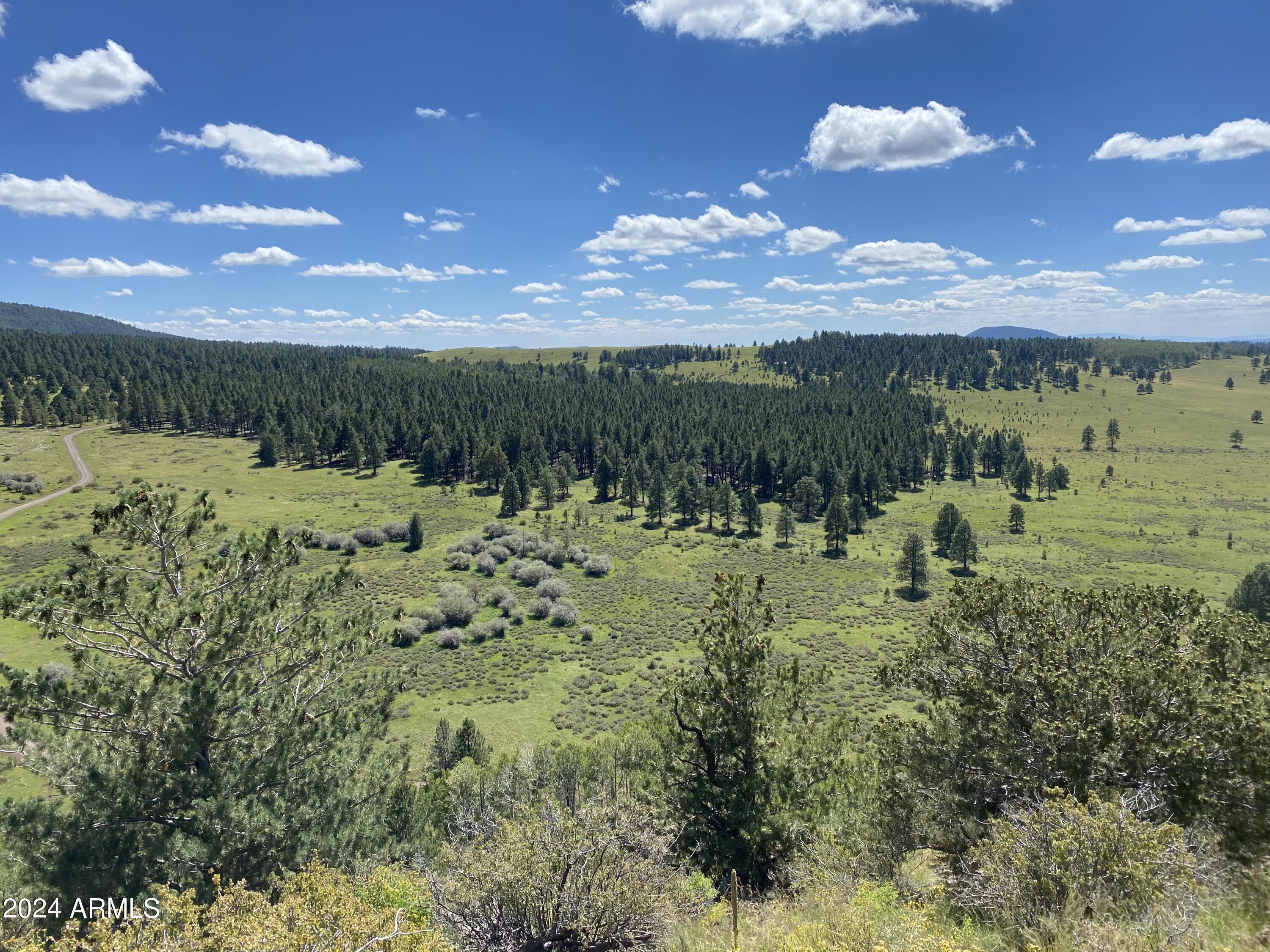 Land in Flagstaff 3