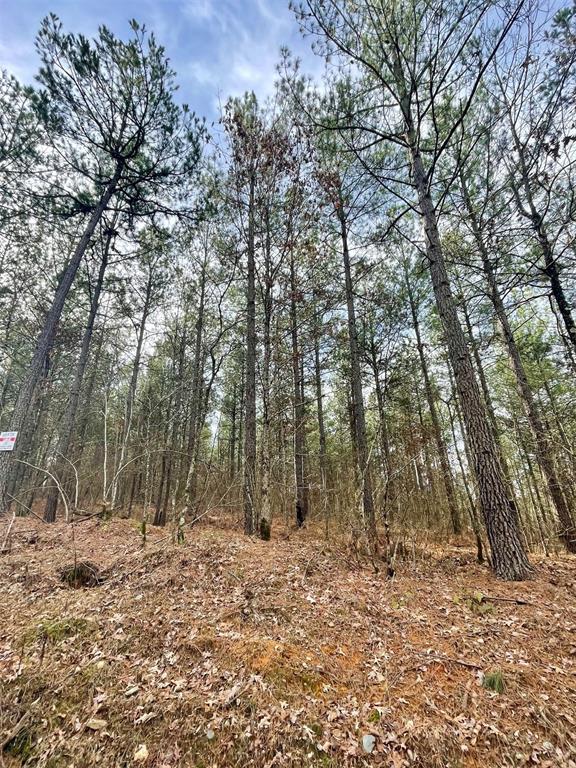 Land in Broken Bow 4