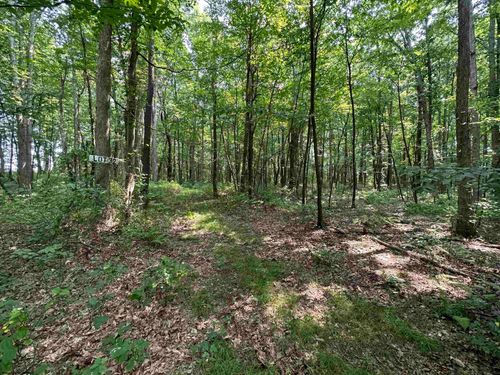 Lot 32 Oak Dr, Albright, WV, 26519 | Card Image