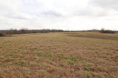 000 County Road 7830, Caulfield, MO, 65626 | Card Image
