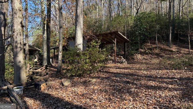 0 Goshen Mesa Ln, Home with 0 bedrooms, 0 bathrooms and null parking in CLARKESVILLE GA | Image 18