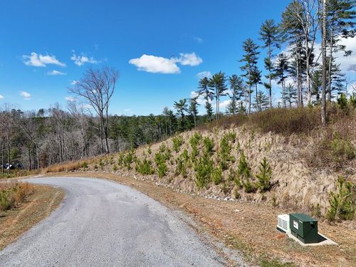 LOT 253 High River Crsg, Ellijay, GA, 30540-4403 | Card Image