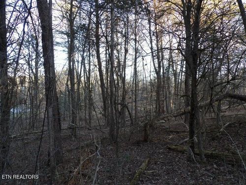 Lot 1060 Mountain View Ln, White Pine, TN, 37890 | Card Image