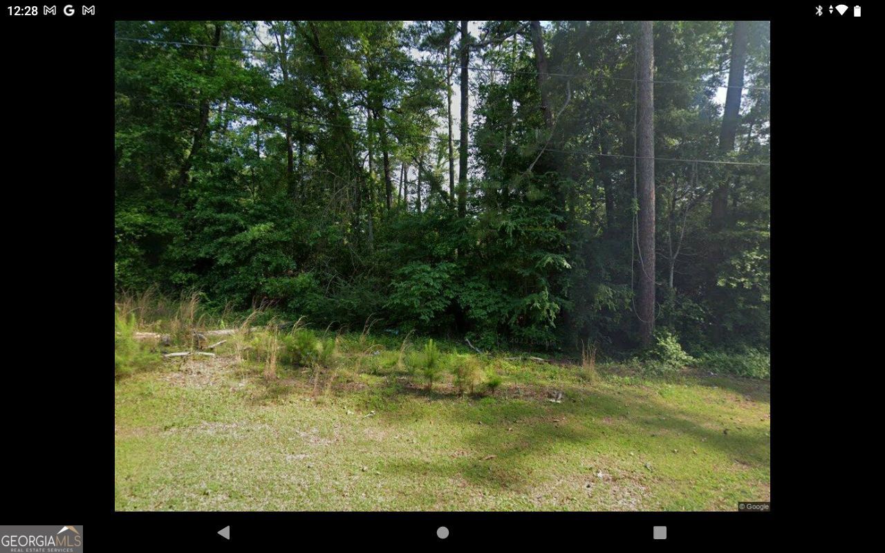 Land in Macon 2