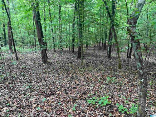 none-0 Gilmer Avenue, Tallassee, AL, 36078 | Card Image
