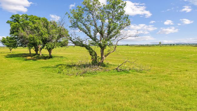 119 - TBD Fm 2689, Home with 0 bedrooms, 0 bathrooms and null parking in Gorman TX | Image 18