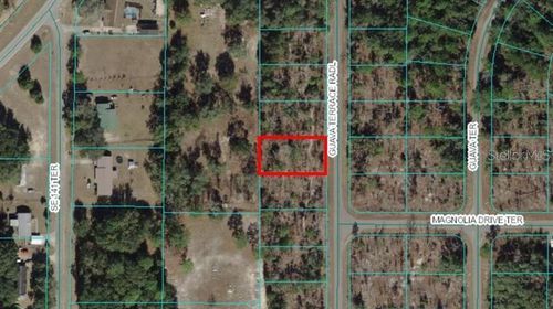0 Guava Terrace Radl, Ocklawaha, FL, 32179 | Card Image