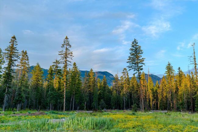 Mountain view featuring a heavily wooded area | Image 40