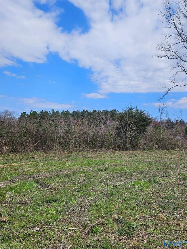 13.5 Acres County Road 687, Home with 0 bedrooms, 0 bathrooms and null parking in Henagar AL | Image 7