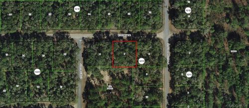 1823 E Derby Drive, DUNNELLON, FL, 34434 | Card Image