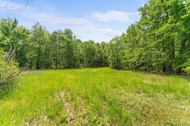 View of nature with a forest view | Image 9