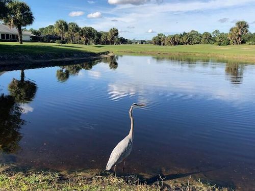 4225 Gator Trace Avenue, Fort Pierce, FL, 34982 | Card Image