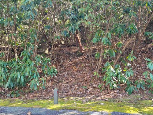 620 Cliff Ridge Dr, Cleveland, SC, 29635-9527 | Card Image