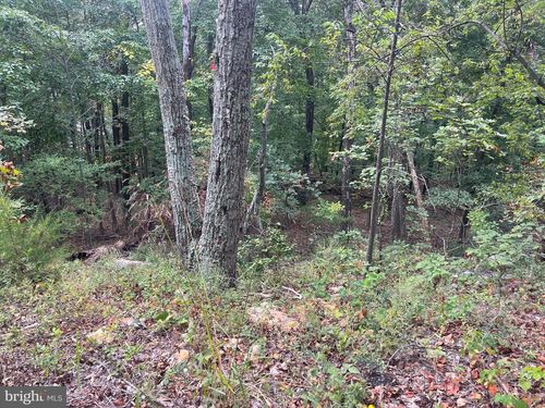 Lot 41 Panorama View Dr, STANLEY, VA, 22851 | Card Image