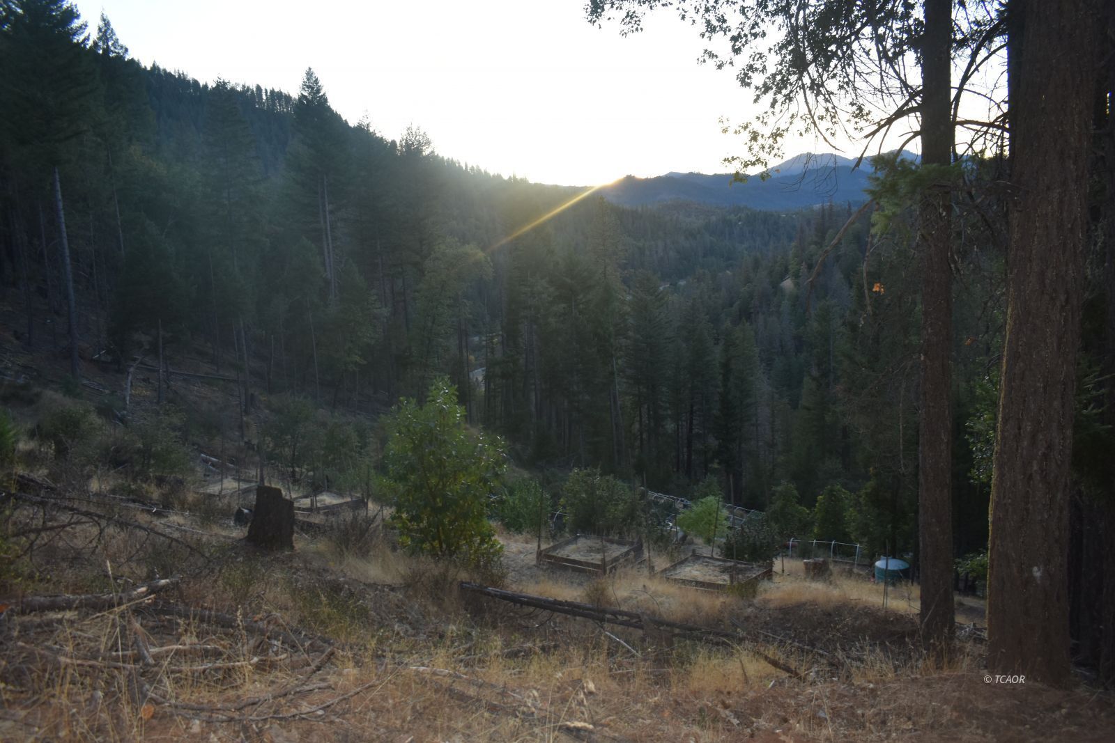 Land in Douglas City 5