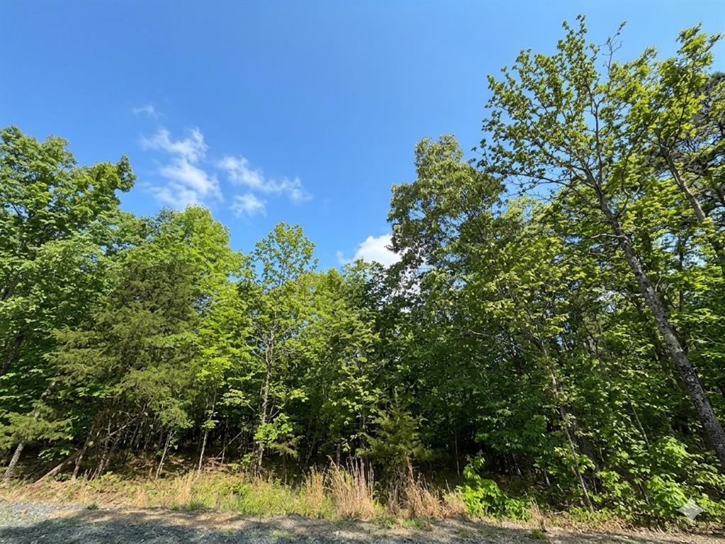 Land in Watson 4