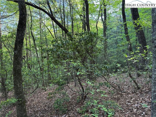 27 Wolf Pen Rd, Home with 0 bedrooms, 0 bathrooms and null parking in Purlear NC | Image 19