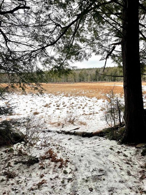 332 Gleason Falls Rd, Hillsborough, NH, 03244-4341 | Card Image