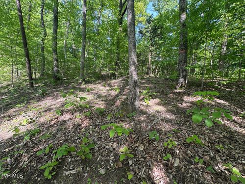 00 Deerfoot Road, Cosby, TN, 37722 | Card Image