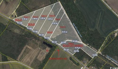 Tract 3 Borkowitz Rd., Scranton, SC, 29591 | Card Image