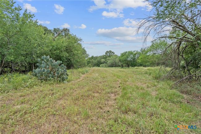 3597 Baker Rd, Home with 0 bedrooms, 0 bathrooms and null parking in Kingsbury TX | Image 28