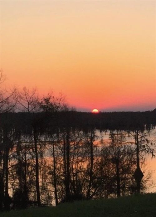 TBD Benjamin Point Rd, Goldonna, LA, 71031 | Card Image