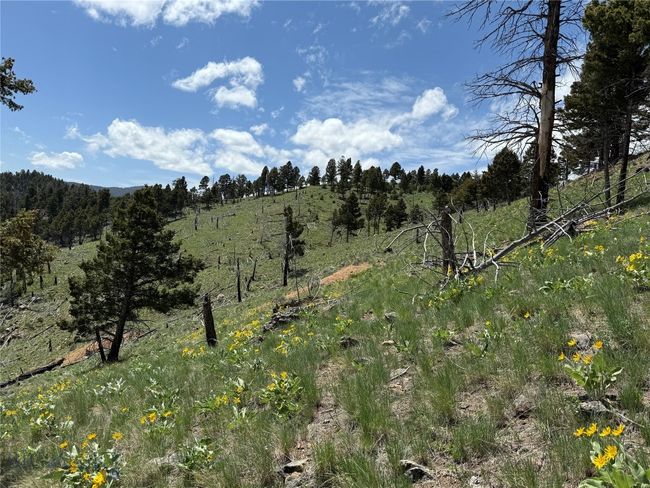 40 High Ore Rd, Home with 0 bedrooms, 0 bathrooms and null parking in Boulder MT | Image 12