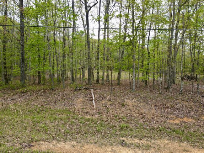 0 Deerwood Dr, Home with 0 bedrooms, 0 bathrooms and null parking in Sewanee TN | Image 51