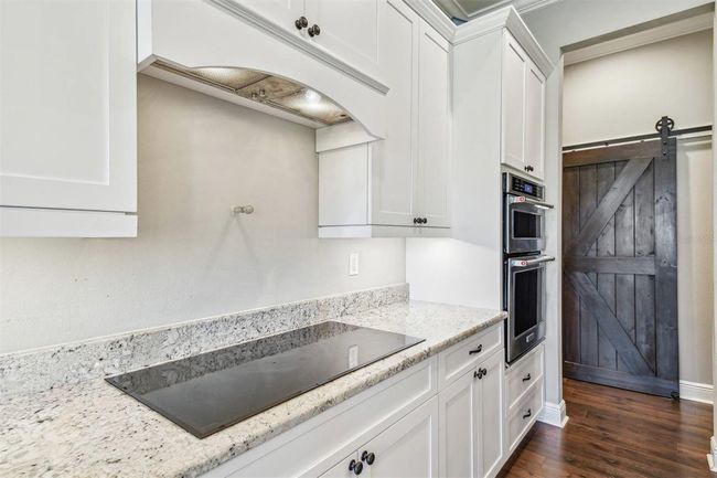 15513 Phillips Rd, House other with 4 bedrooms, 3 bathrooms and null parking in ODESSA FL | Image 19