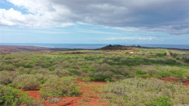 LOT-38 - 000 Kalua Koi Rd, Home with 0 bedrooms, 0 bathrooms and null parking in Maunaloa HI | Image 12
