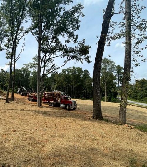 4189 Ledan Ext, Gainesville, GA, 30506-2026 | Card Image