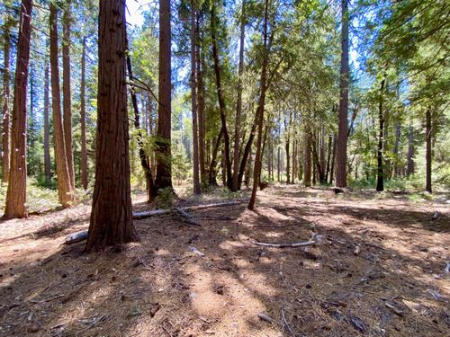 14915 Lolas Echo Rd, Nevada City, CA, 95959-9546 | Card Image