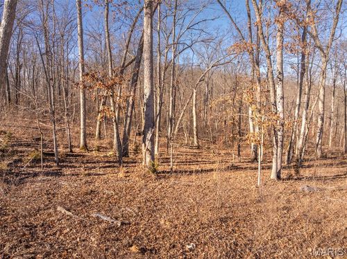 2832 Morgan Lake Drive, Innsbrook, MO, 63390 | Card Image