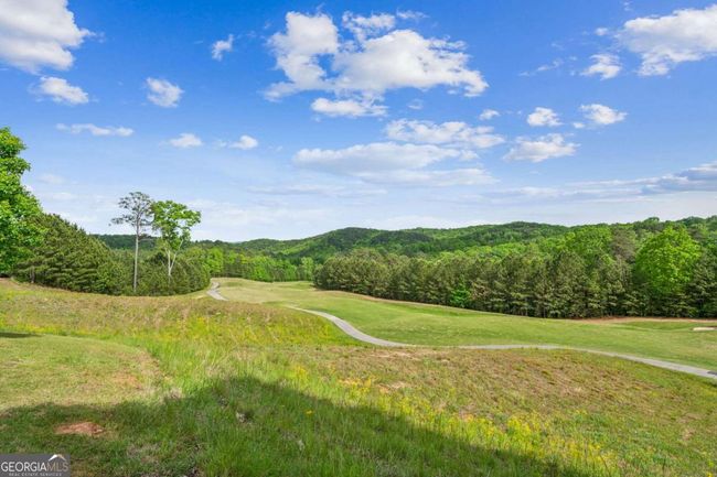 194 Morse Elm Loop, House other with 3 bedrooms, 4 bathrooms and null parking in Waleska GA | Image 25