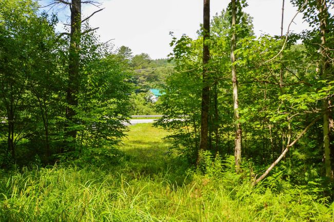 LOT-3 - 00 Vt Route 103 N, Home with 0 bedrooms, 0 bathrooms and null parking in Chester VT | Image 26