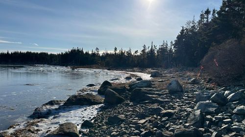 Lot 4-D W Petpeswick Rd, Musquodoboit Harbour, NS, B0J2L0 | Card Image