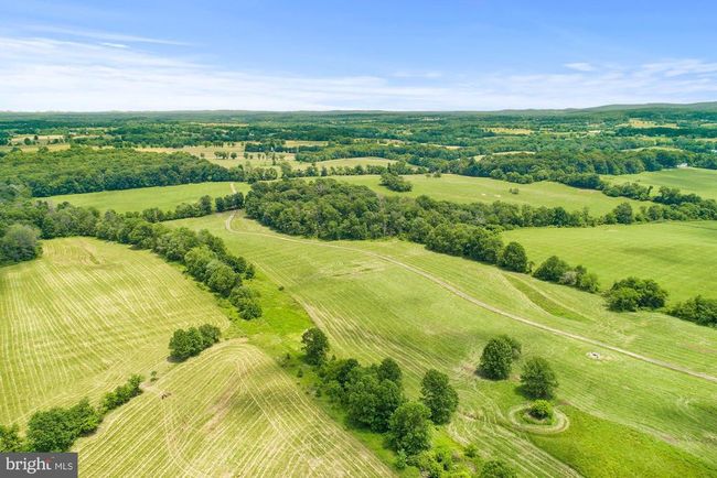 8160 Frogtown Rd, Home with 0 bedrooms, 0 bathrooms and null parking in MARSHALL VA | Image 18