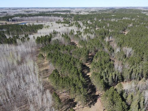 TBD (280AC) Maple Grove Rd, Cloquet, MN, 55720 | Card Image