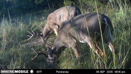 0001 Cold Water Springs Road, Louisburg, KS, 66053 | Card Image