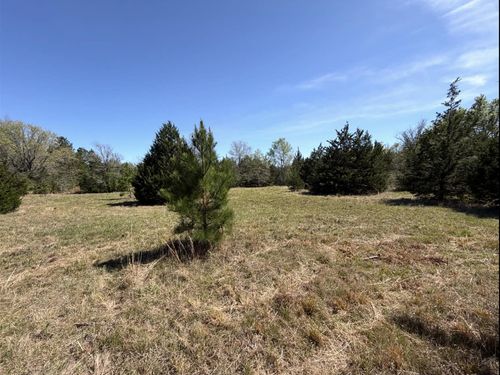 Tract 2 Fm 542, Oakwood, TX, 75855 | Card Image