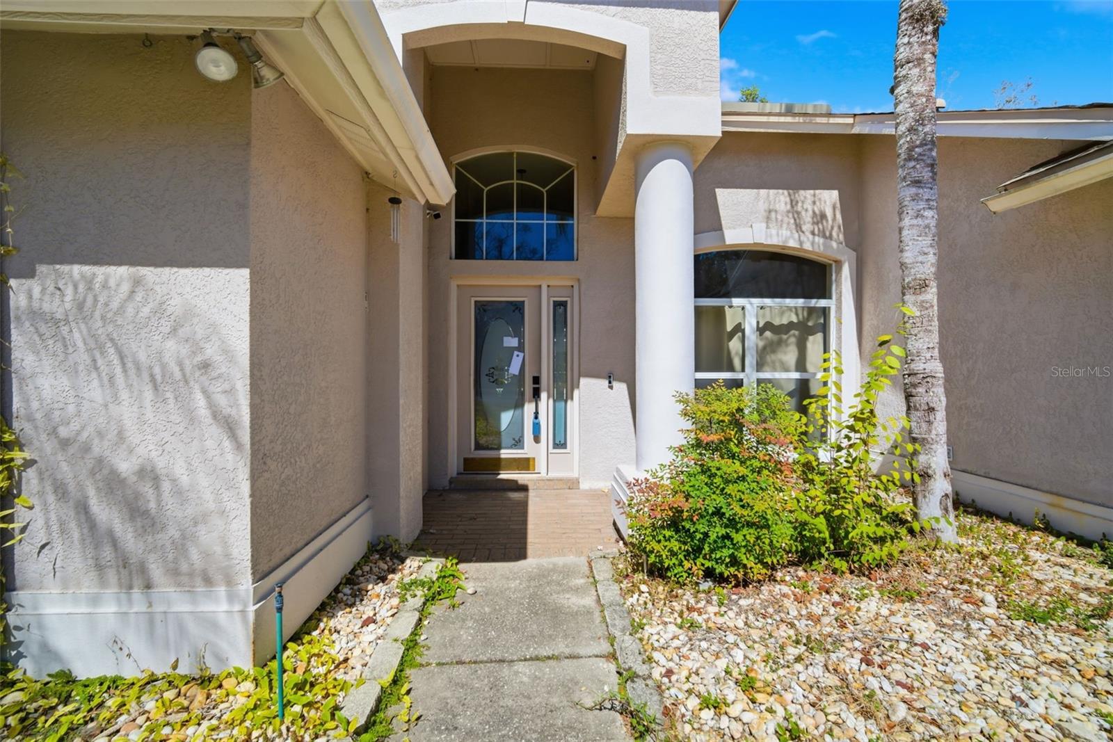 Residential in WESLEY CHAPEL 2