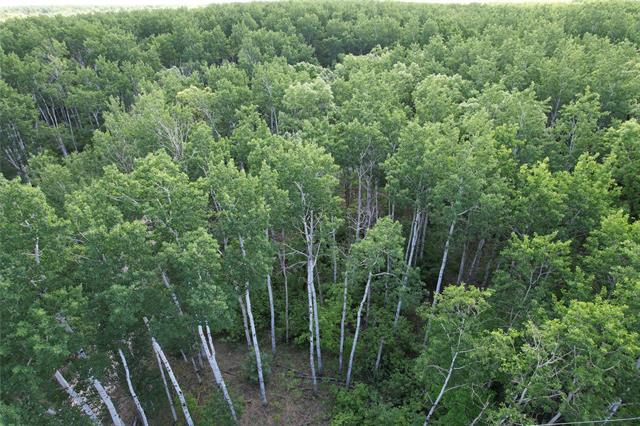 Residential in Roseau River 4