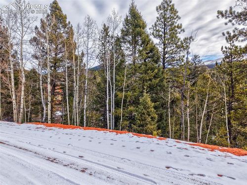 1181 Calcite Dr, Divide, CO, 80814-7707 | Card Image