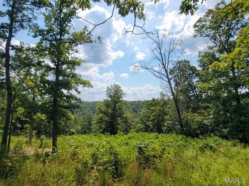 0ff County Road 118, Annapolis, MO, 63620 | Card Image